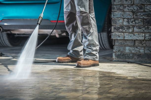 Best Pre-Holiday Cleaning  in Whitesboro, TX