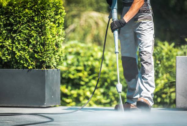Best Warehouse Cleaning  in Whitesboro, TX
