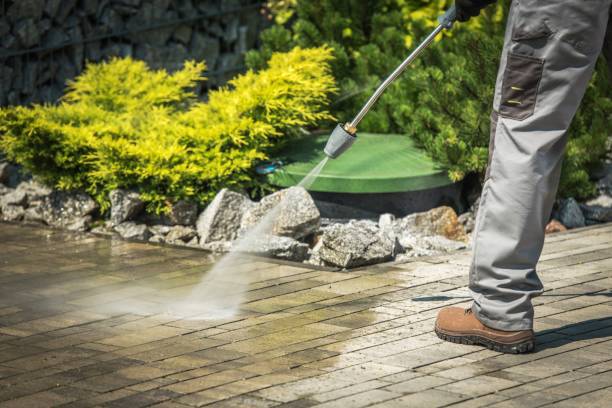 Best Boat and Dock Cleaning  in Whitesboro, TX